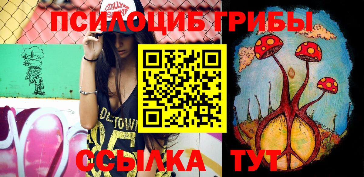 Галлюциногенные грибы Psilocybe Волгоград