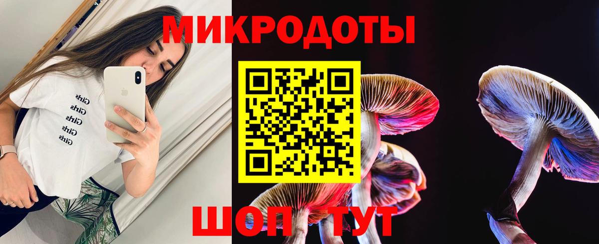 Волгоград  Галлюциногенные грибы MAGIC MUSHROOMS  Вход с VPN 